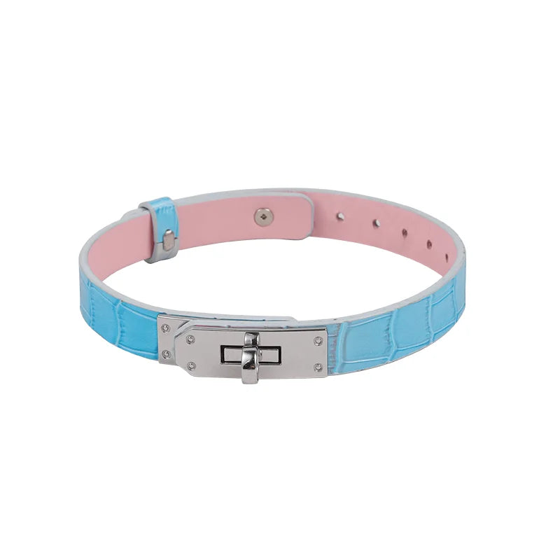 BDSM Collars Blue Pink Leather