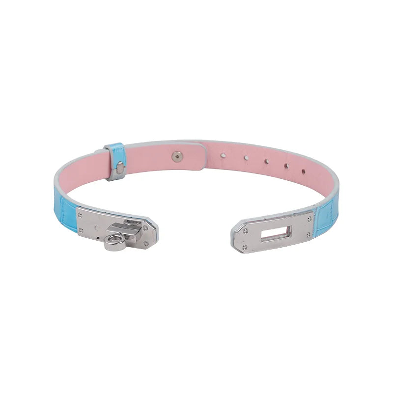 BDSM Collars Blue Pink Leather