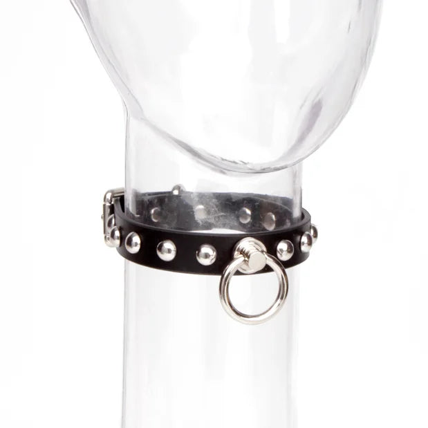 Adjustable Leather Metal BDSM Collars