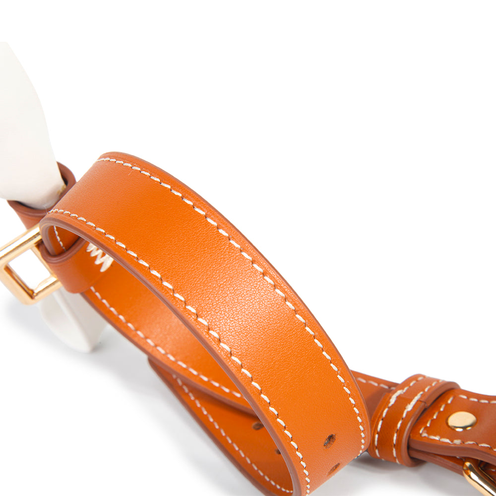 Hermes Color Leather BDSM Collars