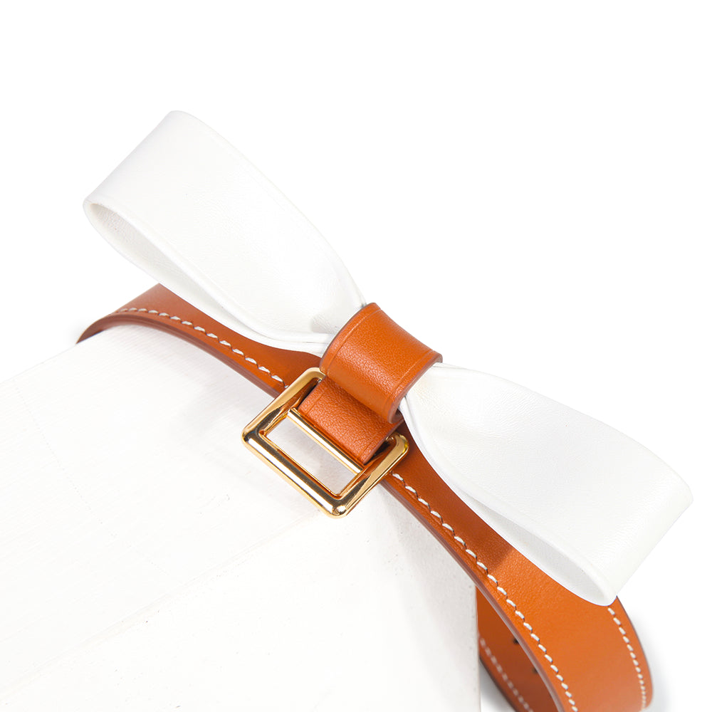 Hermes Color Leather BDSM Collars