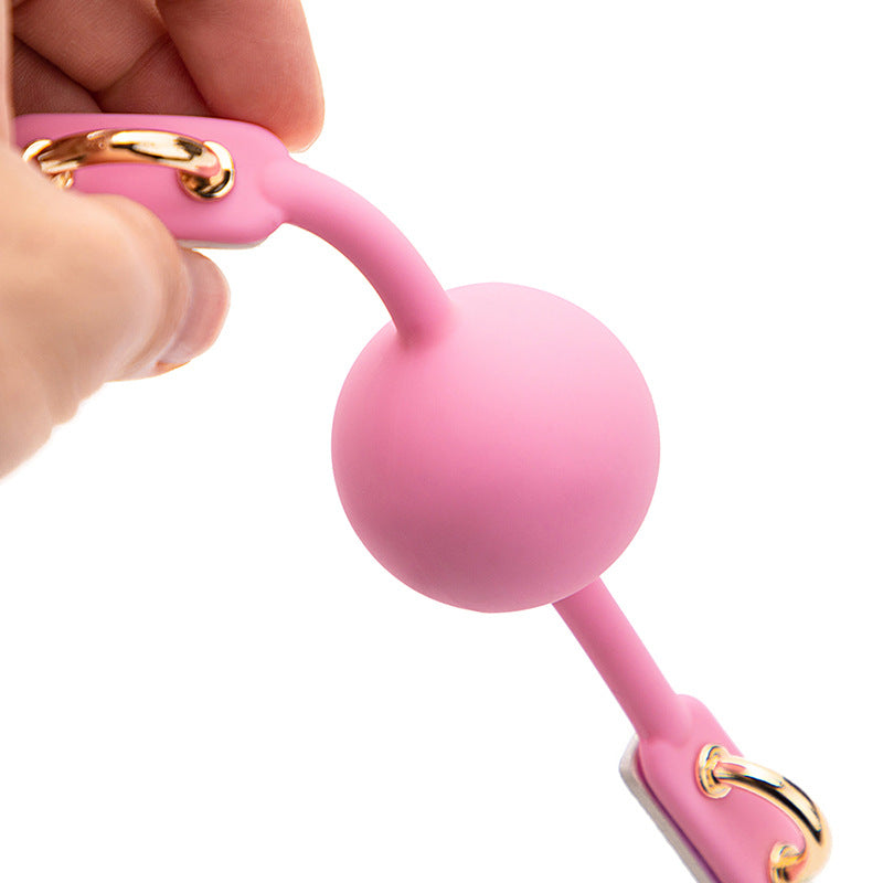 Metal Ring Iridescent BDSM Ball Gags