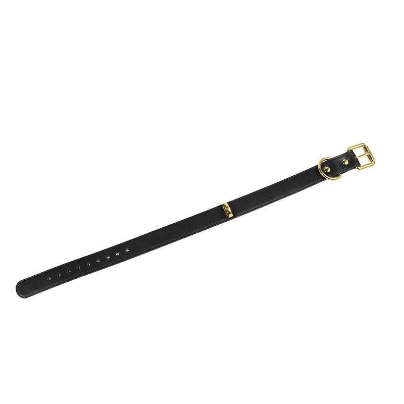 Sleek Black Leather BDSM Collars