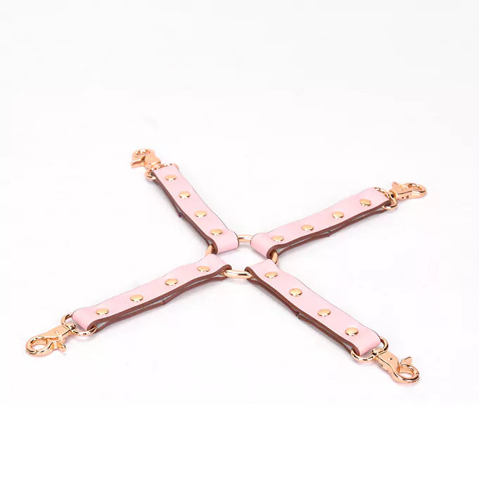 Pink Bondage Set-BDSM Kit