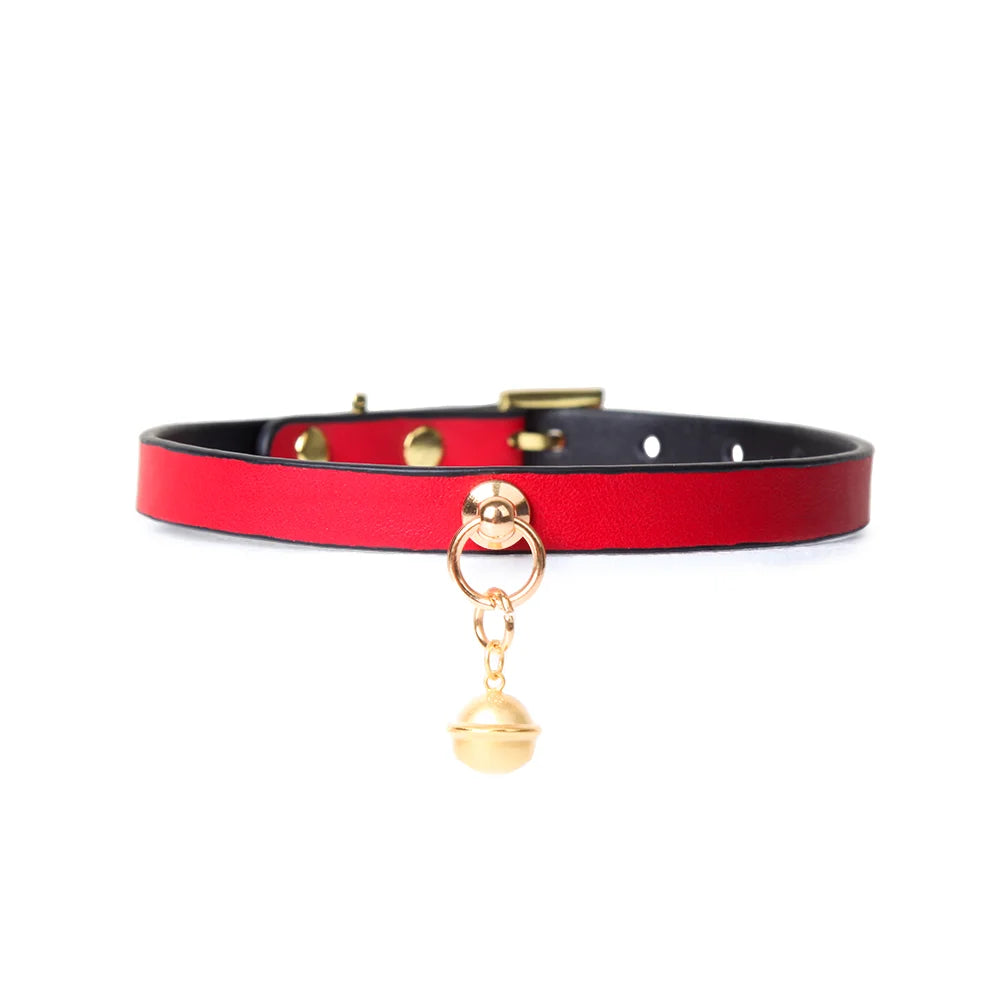 Bicolor Leather BDSM Choker for Unique Play