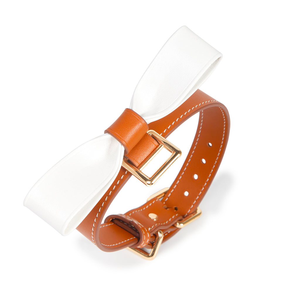 Hermes Color Leather BDSM Choker for Luxurious Play