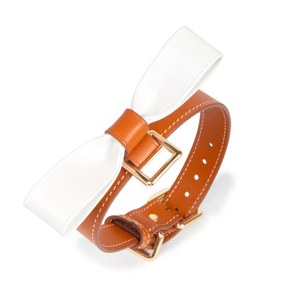 Hermes Color Leather BDSM Choker for Luxurious Play