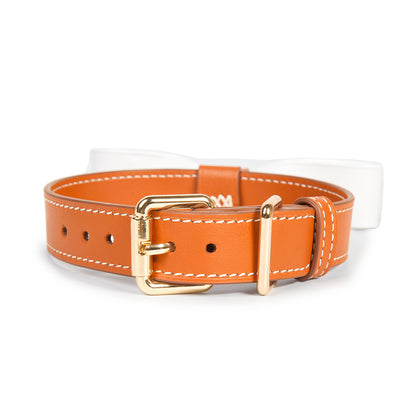 Hermes Color Leather BDSM Choker for Luxurious Play