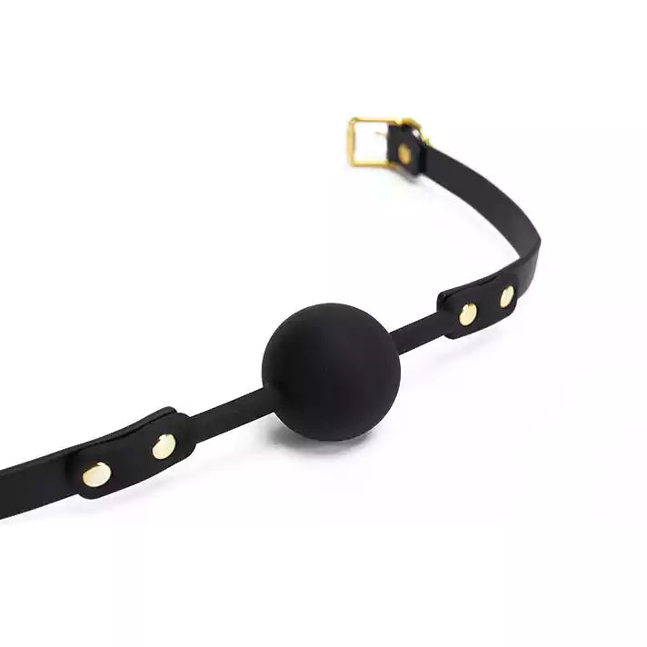 Multicolor Metal Accent Modern BDSM Ball Gag