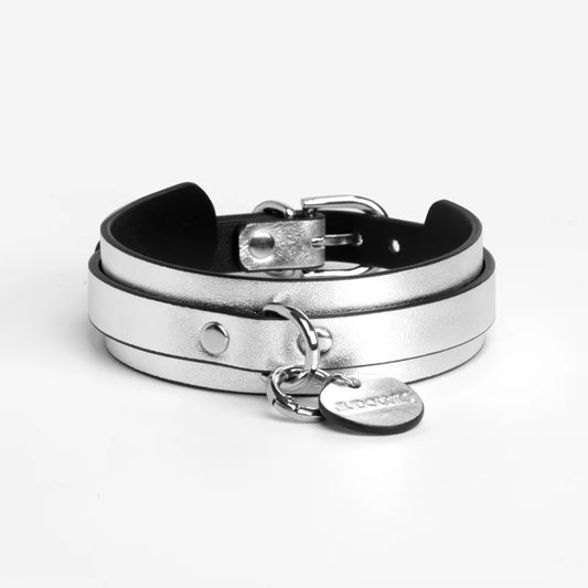 Pet BDSM Collars for Playful Beginners